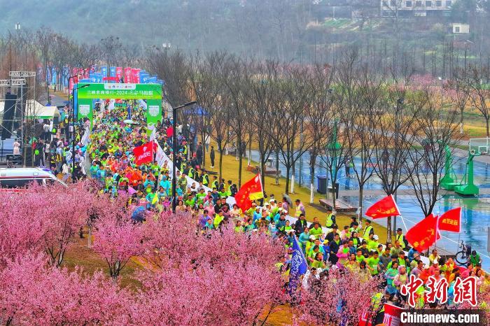 奥运冠军杨威领跑2024远安马拉松 油菜花海赛道引