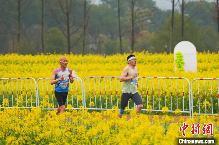 奥运冠军杨威领跑2024远安马拉松 油菜花海赛道引